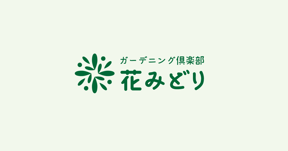 ガーデニング倶楽部 花みどり 徳島市の大型総合園芸店