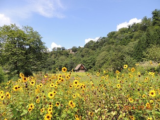 20140906白川郷３