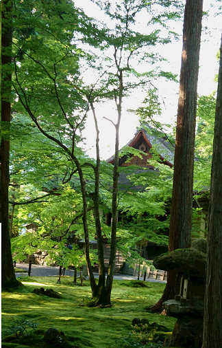 20170729 高台寺