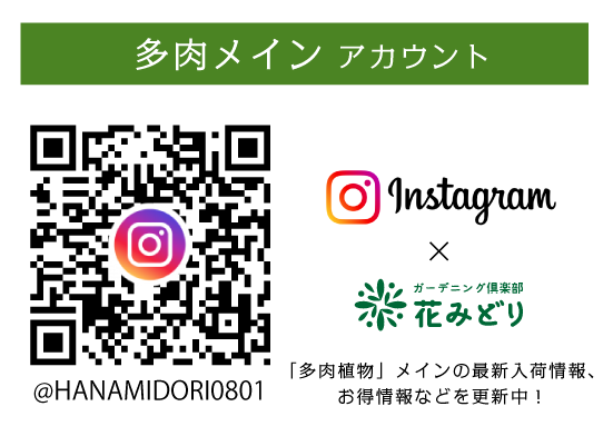 Instagram（多肉メイン）