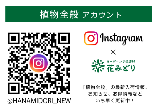 Instagram（植物全般）